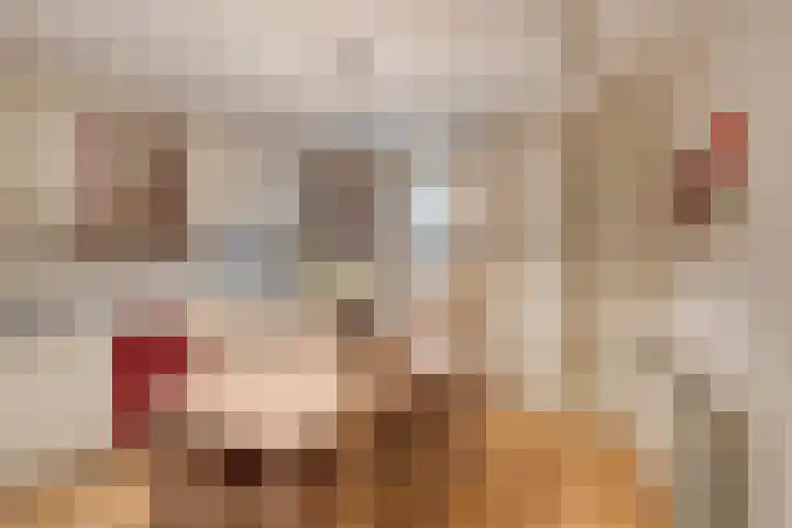 Bloemendalsweg 13 F 9 Colmschate thumbnail 23