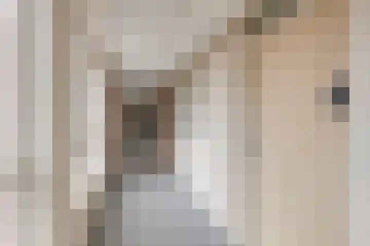 Bloemendalsweg 13 F 9 Colmschate thumbnail 35