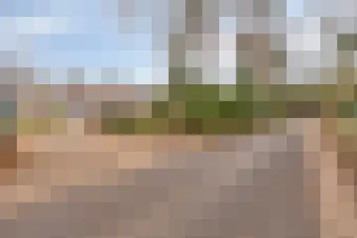 Bloemendalsweg 13 F 9 Colmschate thumbnail 37