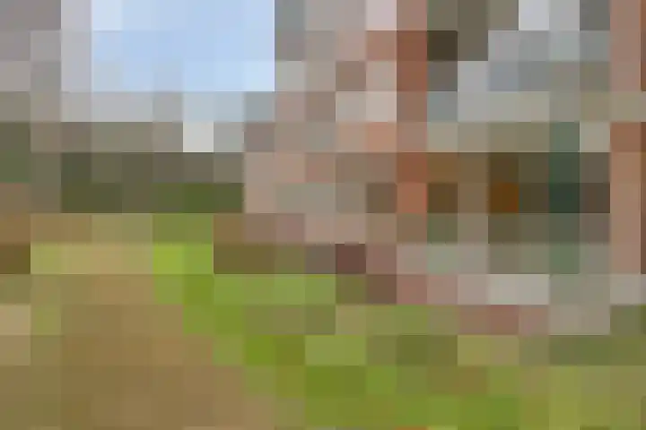 Bloemendalsweg 13 F 9 Colmschate thumbnail 7