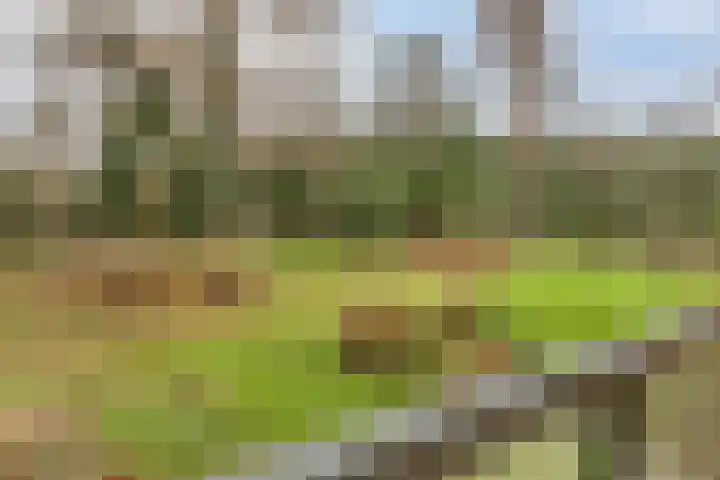 Bloemendalsweg 13 F 9 Colmschate thumbnail 8