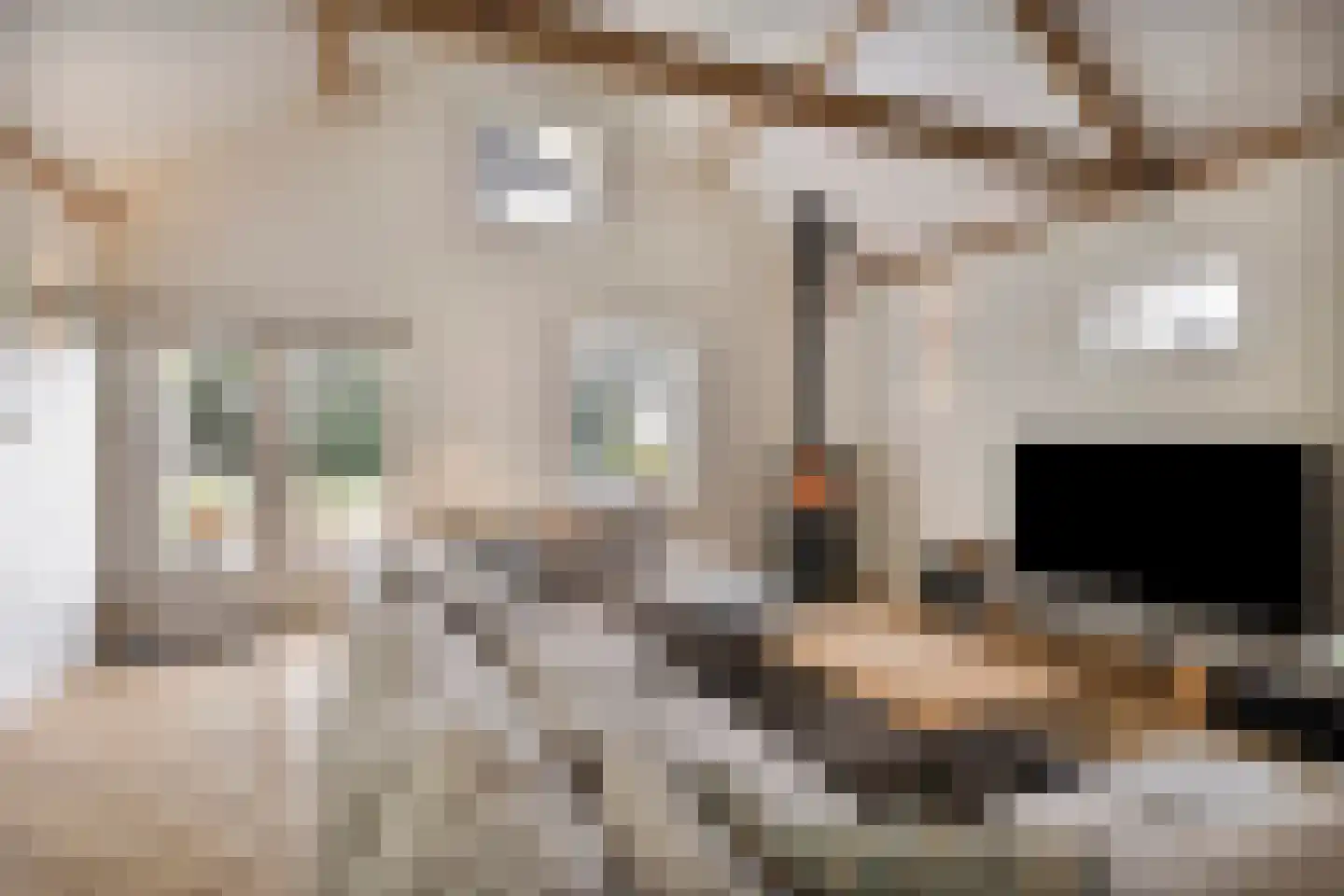 Bloemendijk 4 Dinteloord thumbnail 10
