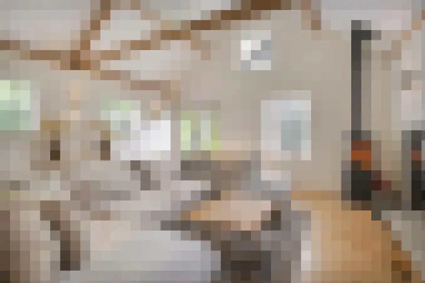 Bloemendijk 4 Dinteloord thumbnail 11