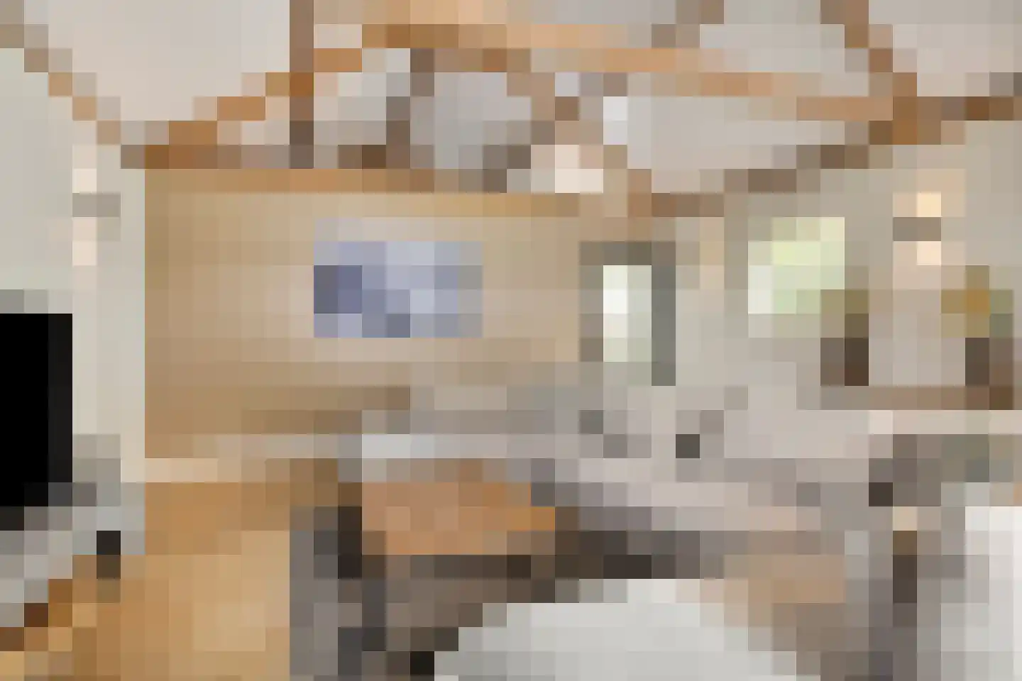 Bloemendijk 4 Dinteloord thumbnail 12