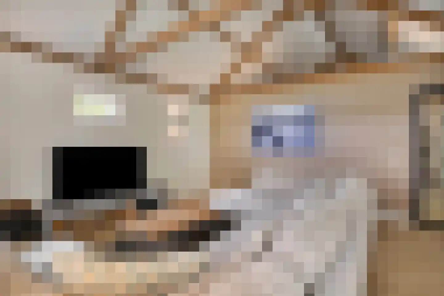 Bloemendijk 4 Dinteloord thumbnail 13