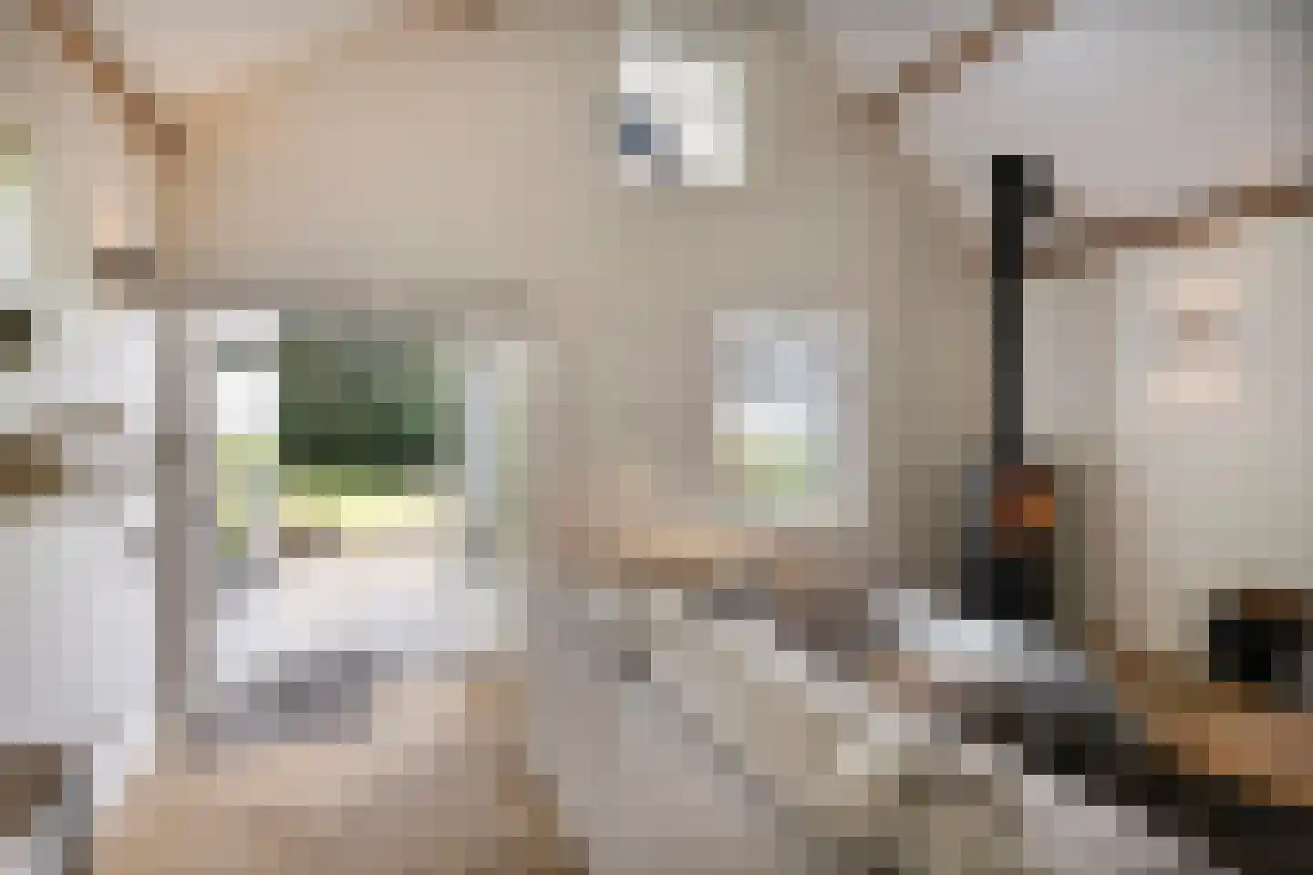 Bloemendijk 4 Dinteloord thumbnail 15