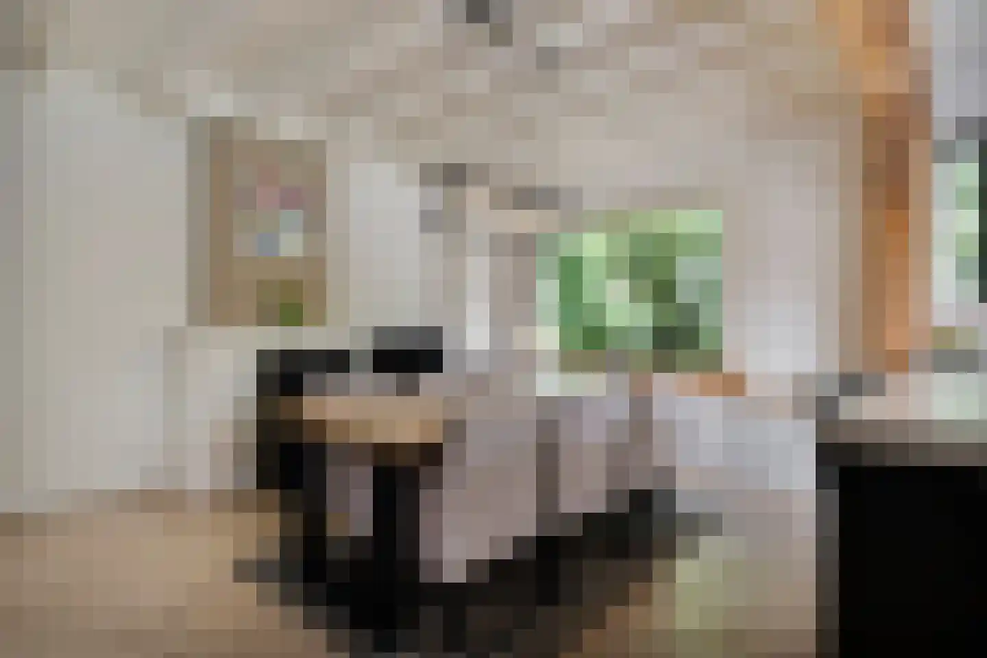 Bloemendijk 4 Dinteloord thumbnail 16