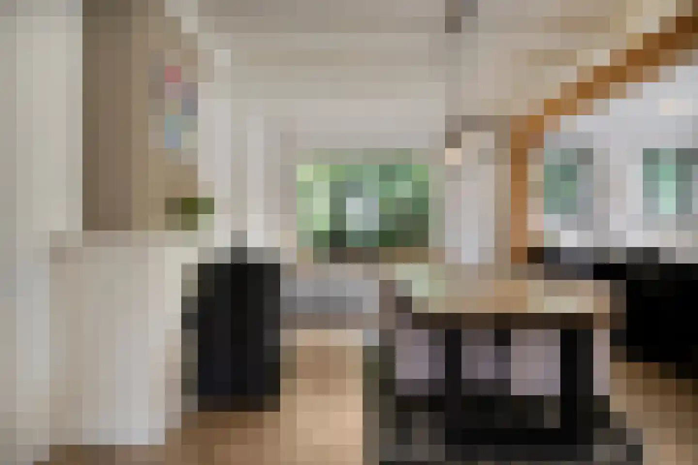 Bloemendijk 4 Dinteloord thumbnail 17