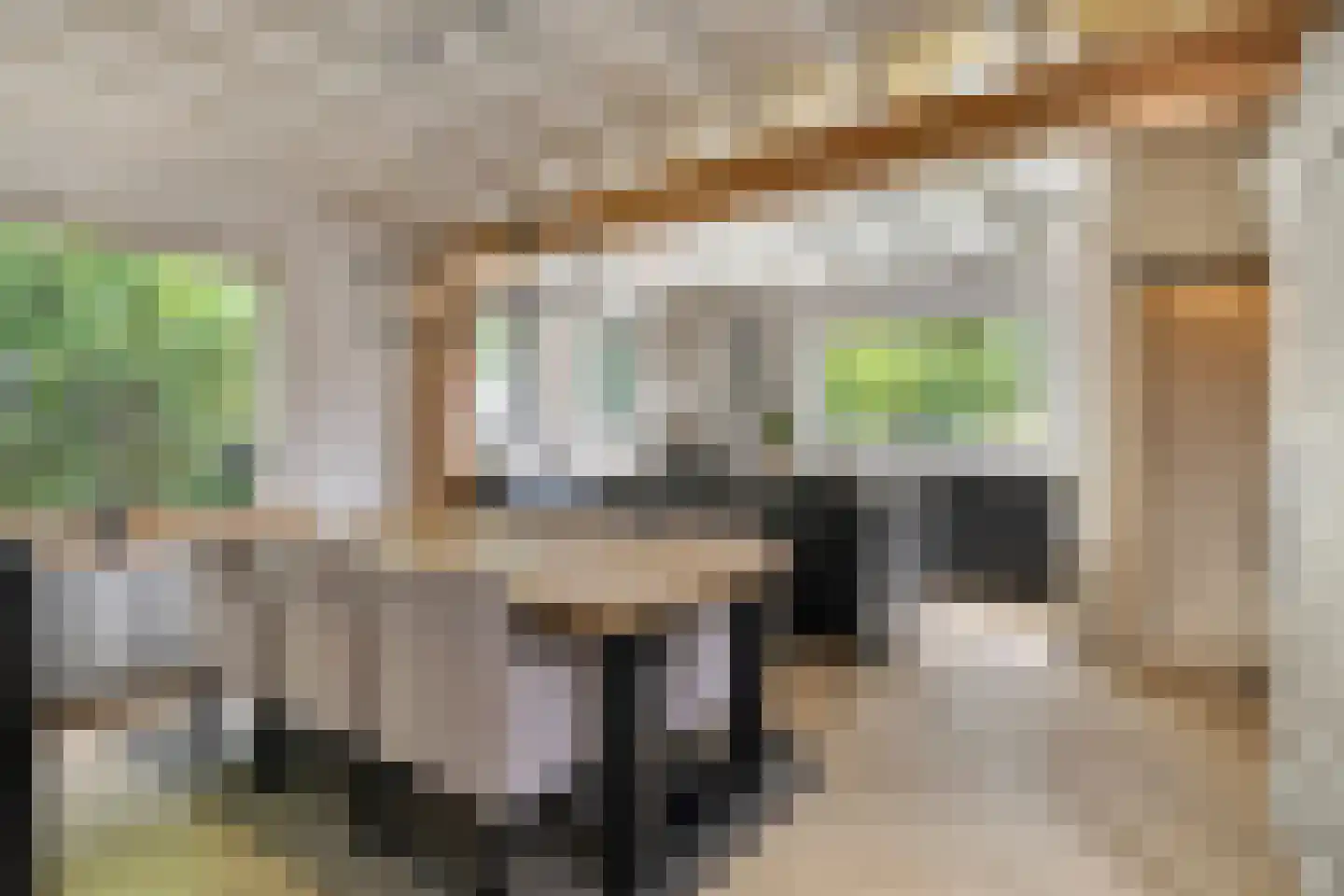 Bloemendijk 4 Dinteloord thumbnail 18