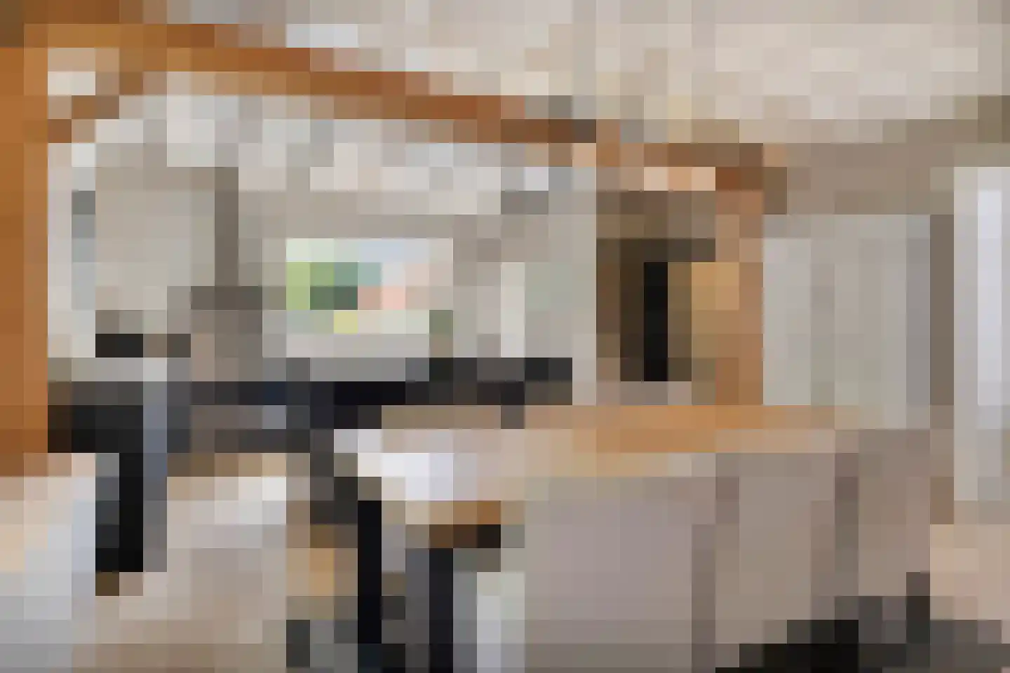 Bloemendijk 4 Dinteloord thumbnail 19