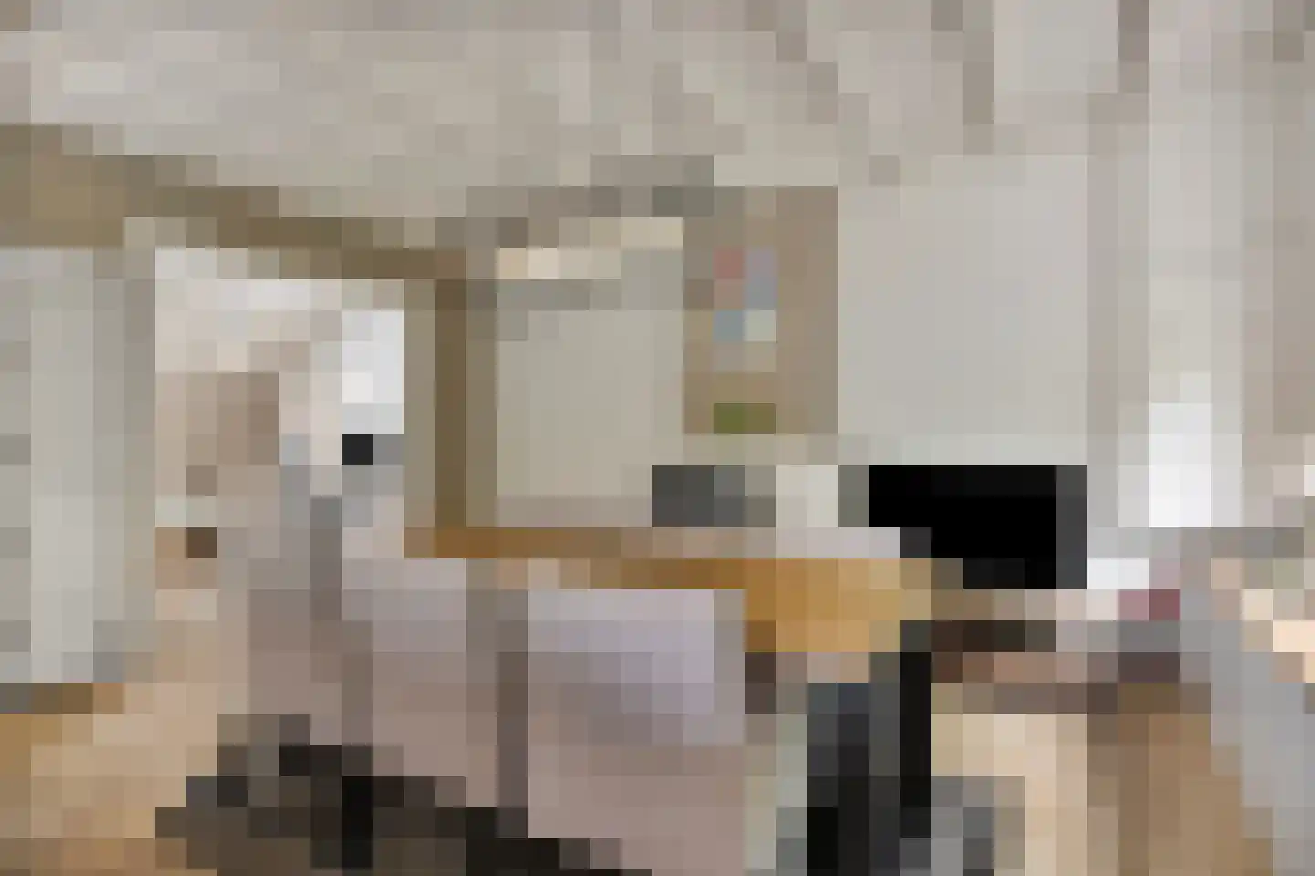 Bloemendijk 4 Dinteloord thumbnail 20