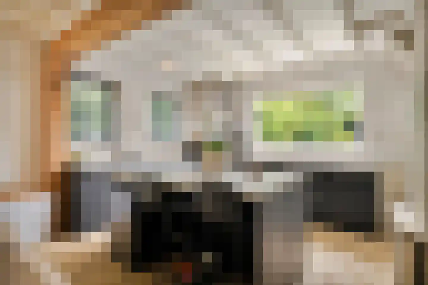 Bloemendijk 4 Dinteloord thumbnail 23