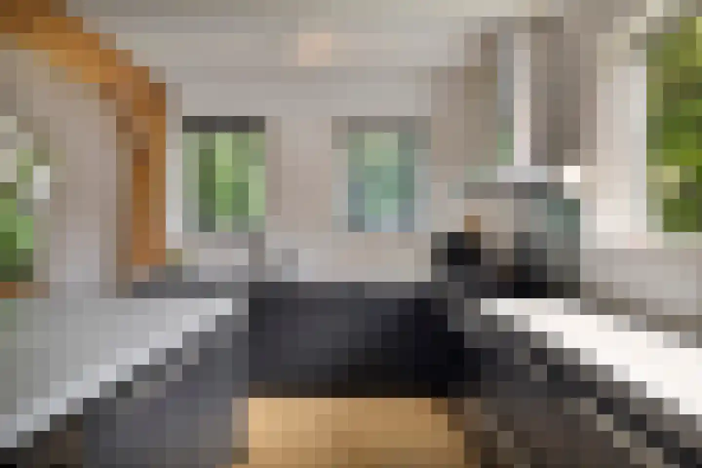 Bloemendijk 4 Dinteloord thumbnail 24
