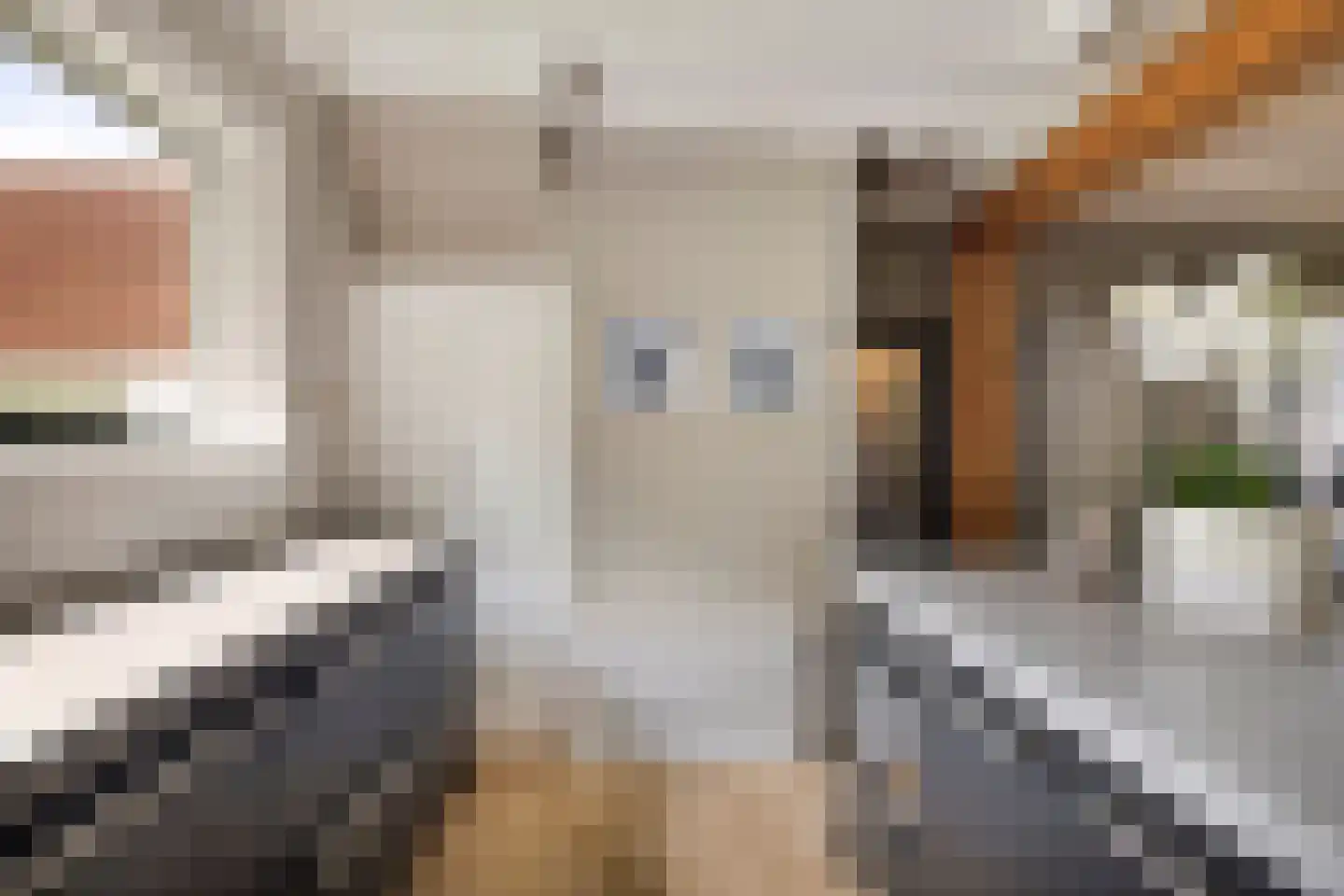 Bloemendijk 4 Dinteloord thumbnail 25