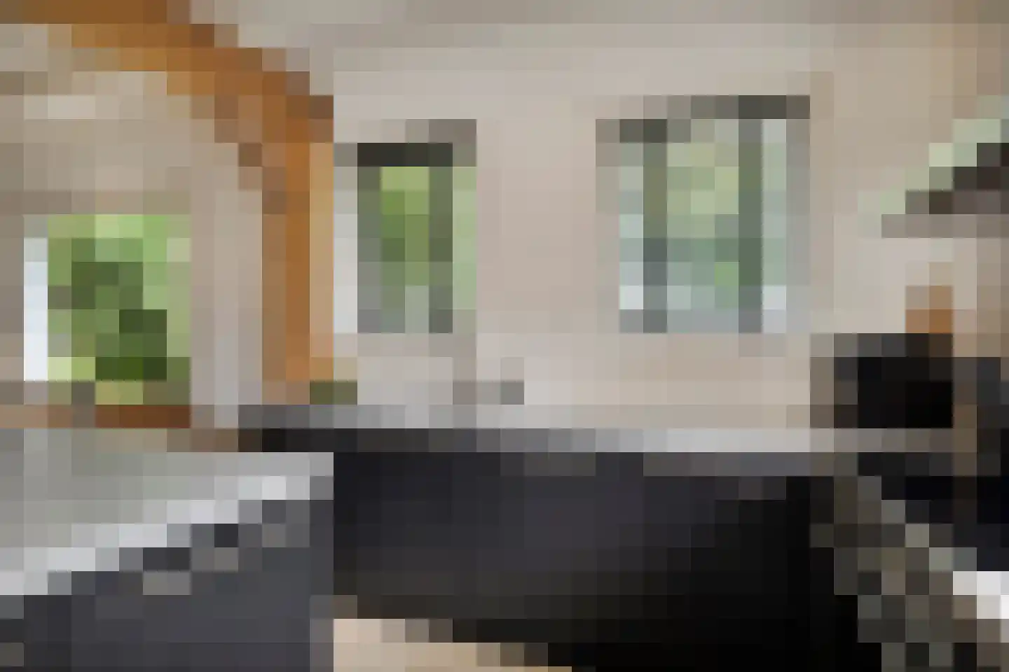 Bloemendijk 4 Dinteloord thumbnail 26