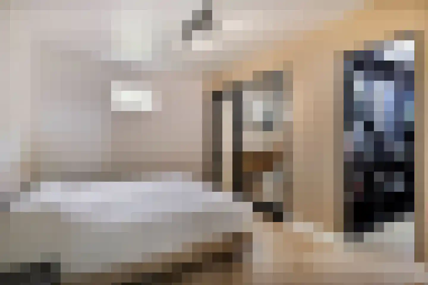 Bloemendijk 4 Dinteloord thumbnail 27