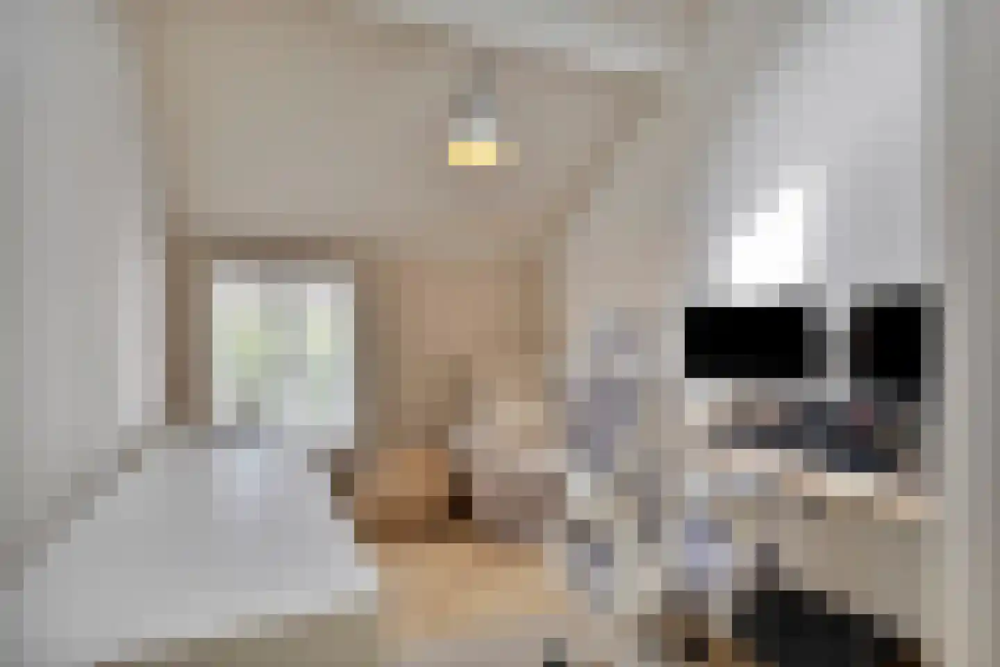Bloemendijk 4 Dinteloord thumbnail 33