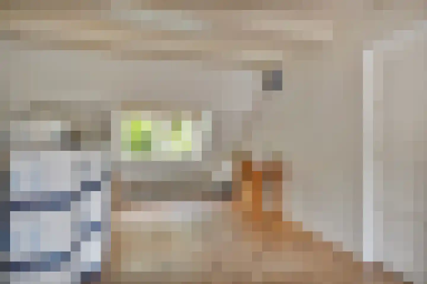 Bloemendijk 4 Dinteloord thumbnail 38