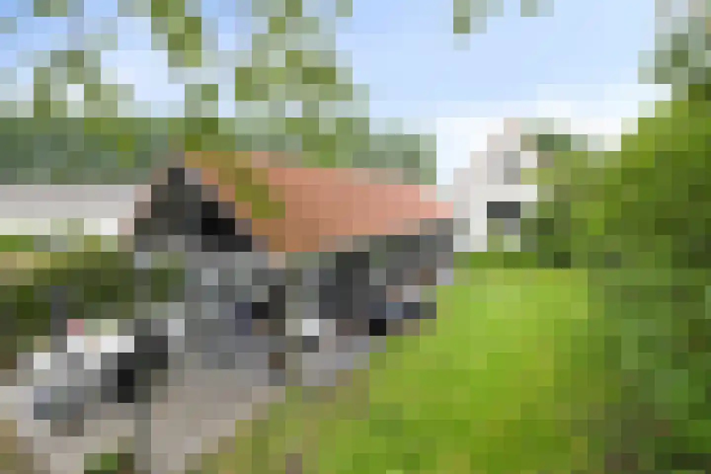 Bloemendijk 4 Dinteloord thumbnail 4