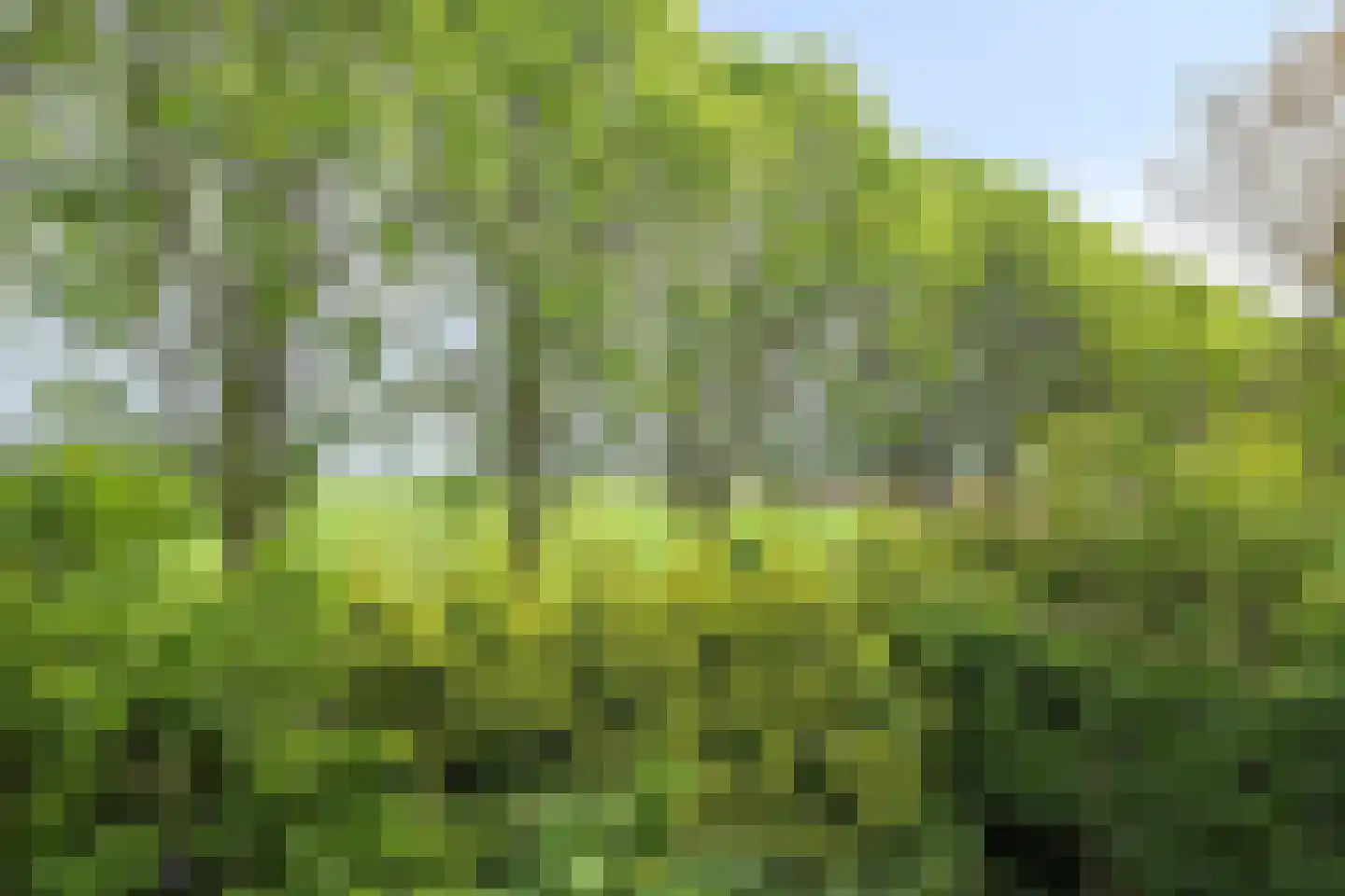 Bloemendijk 4 Dinteloord thumbnail 42