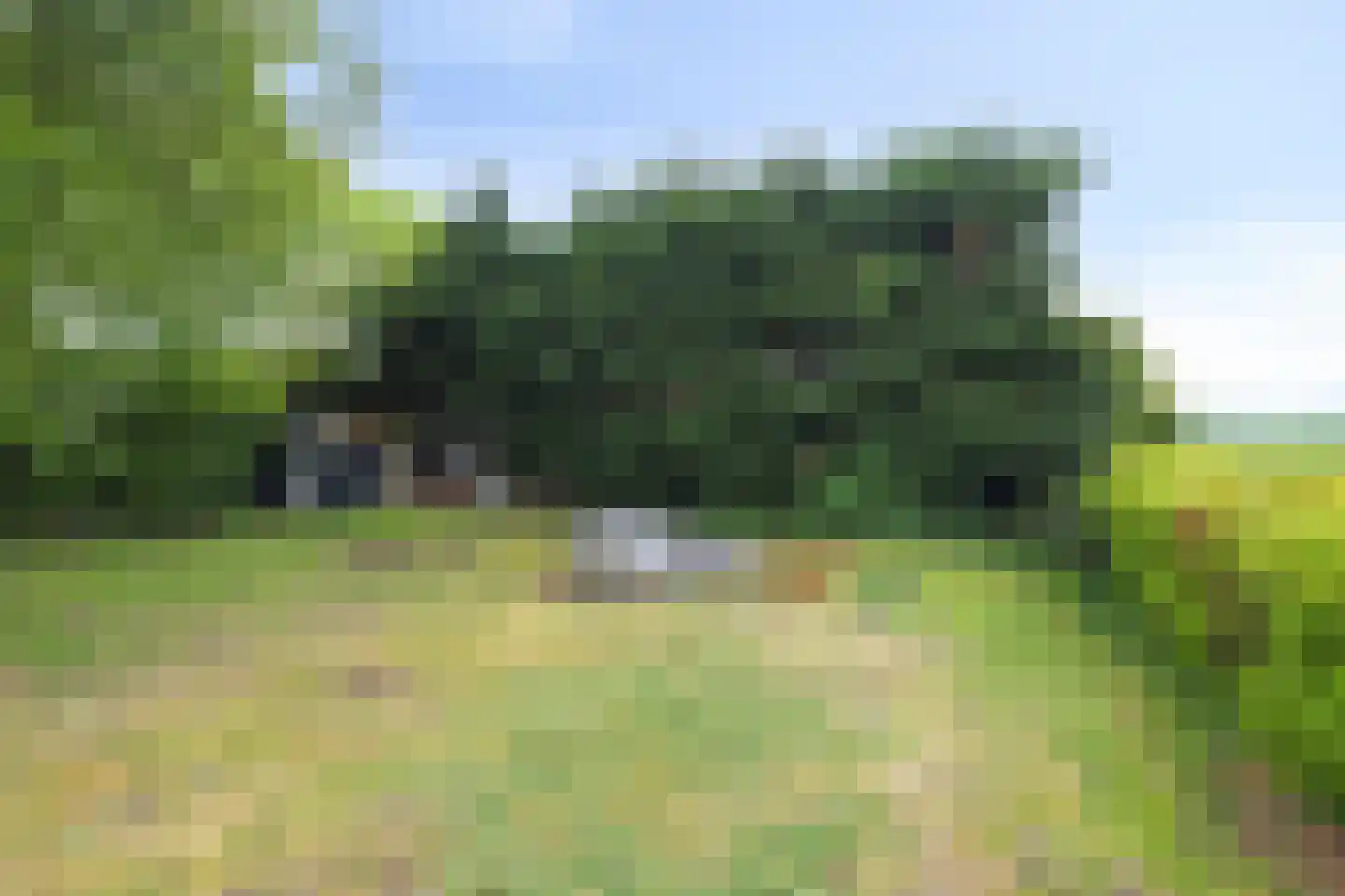 Bloemendijk 4 Dinteloord thumbnail 49