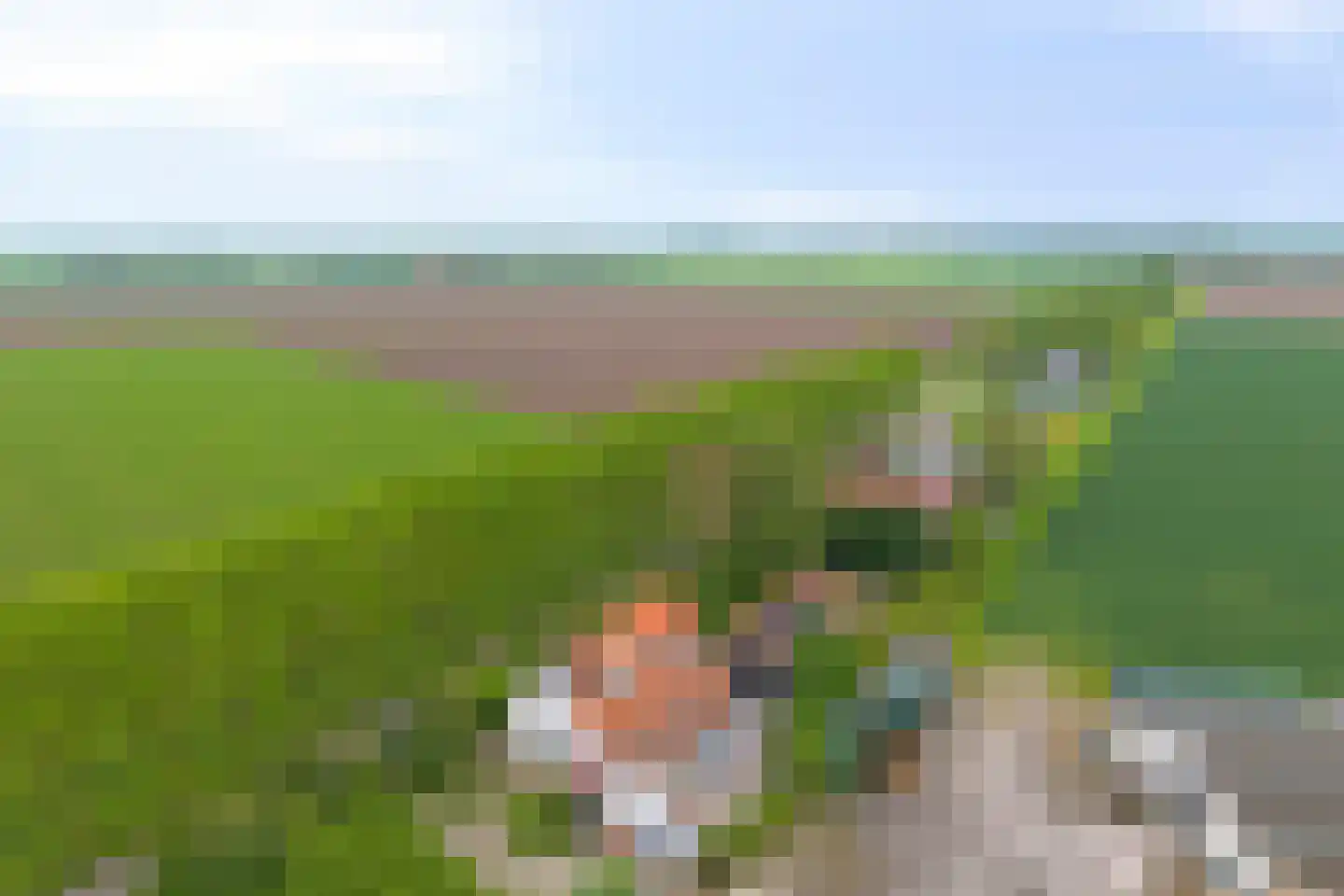 Bloemendijk 4 Dinteloord thumbnail 5