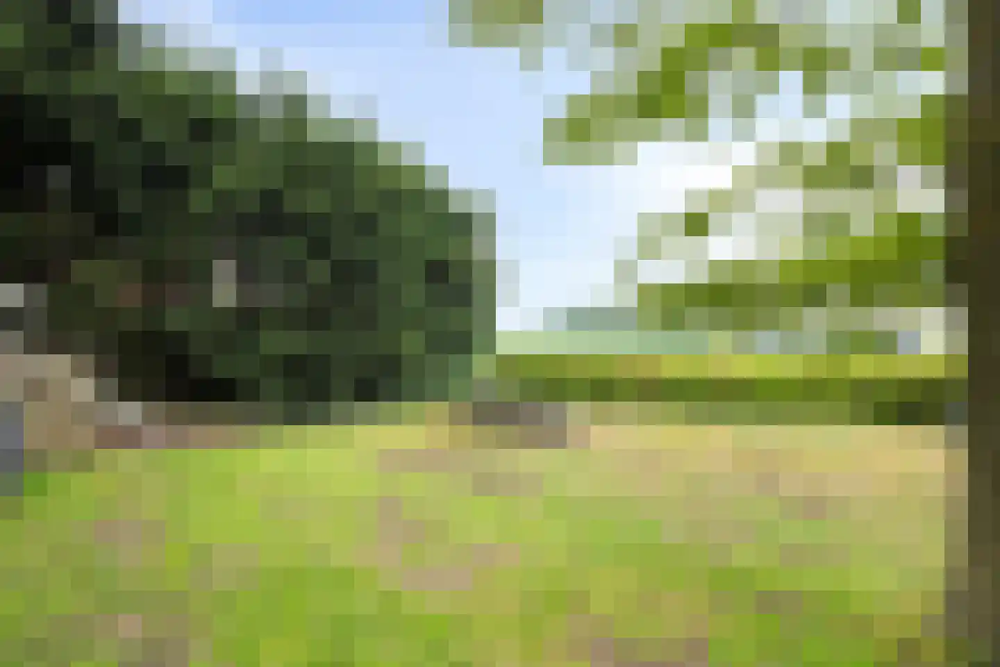 Bloemendijk 4 Dinteloord thumbnail 52