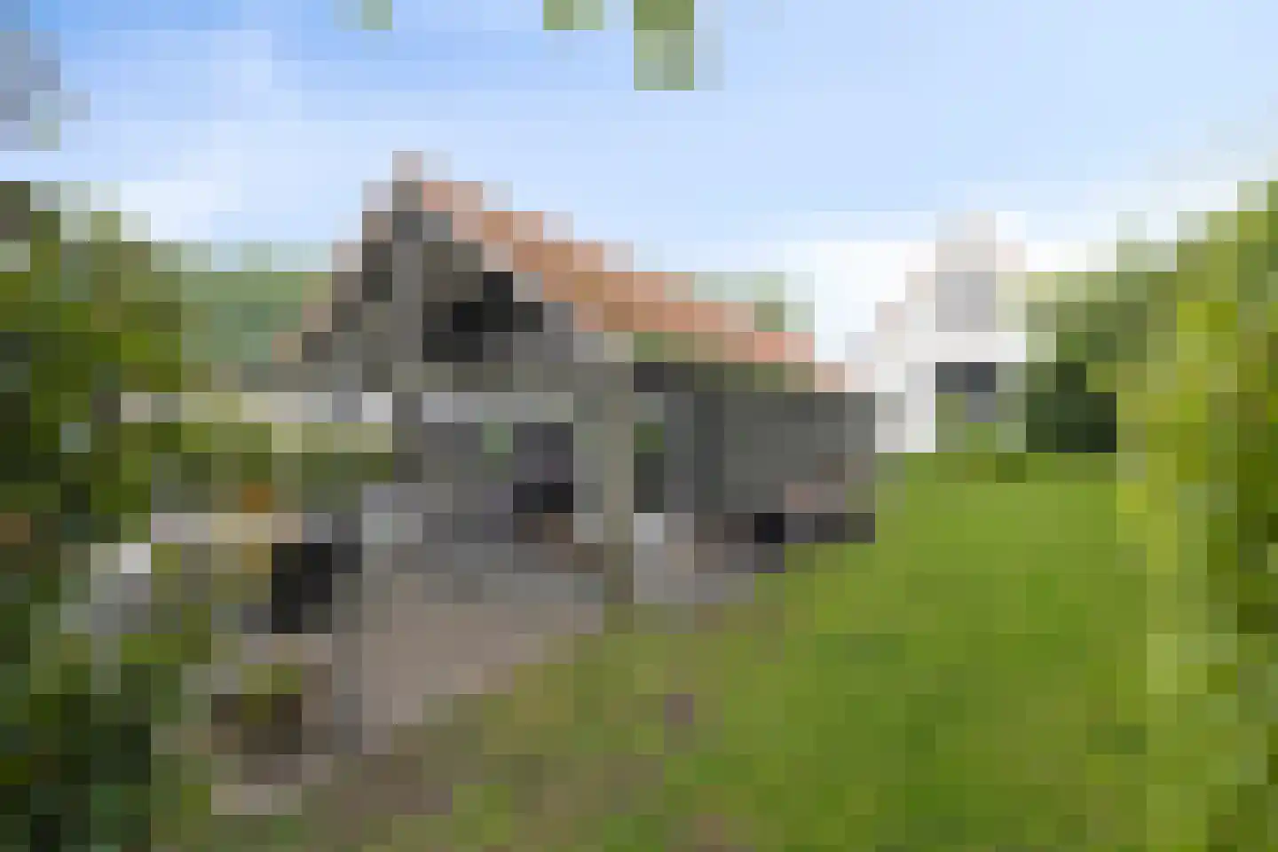 Bloemendijk 4 Dinteloord thumbnail 53