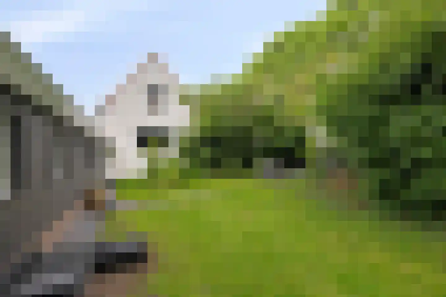 Bloemendijk 4 Dinteloord thumbnail 55