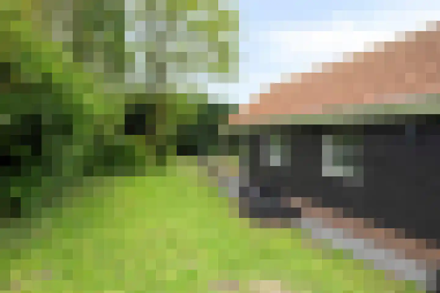 Bloemendijk 4 Dinteloord thumbnail 56
