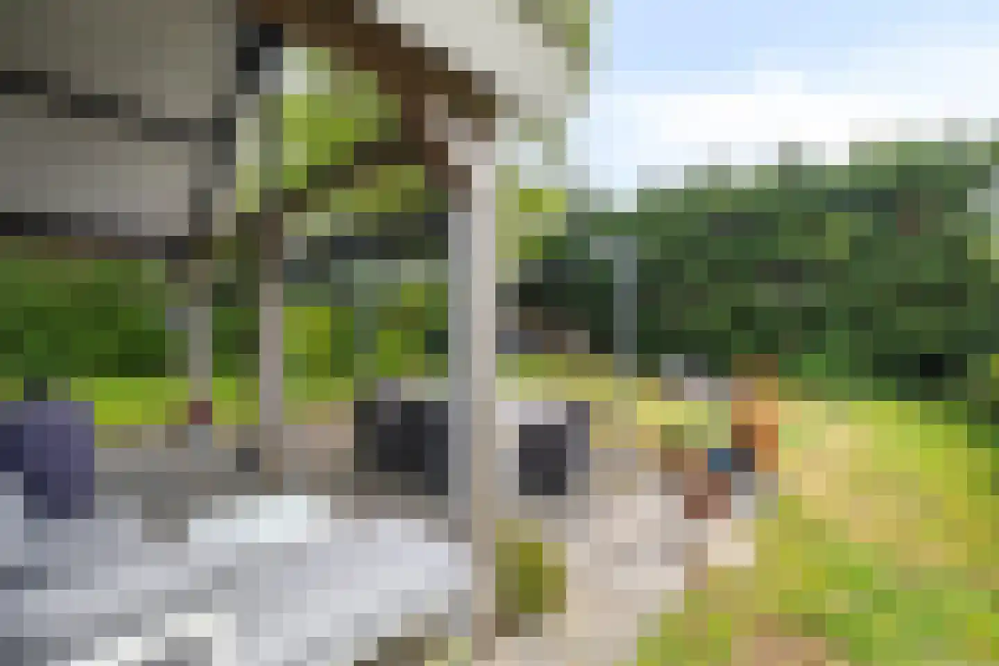 Bloemendijk 4 Dinteloord thumbnail 60