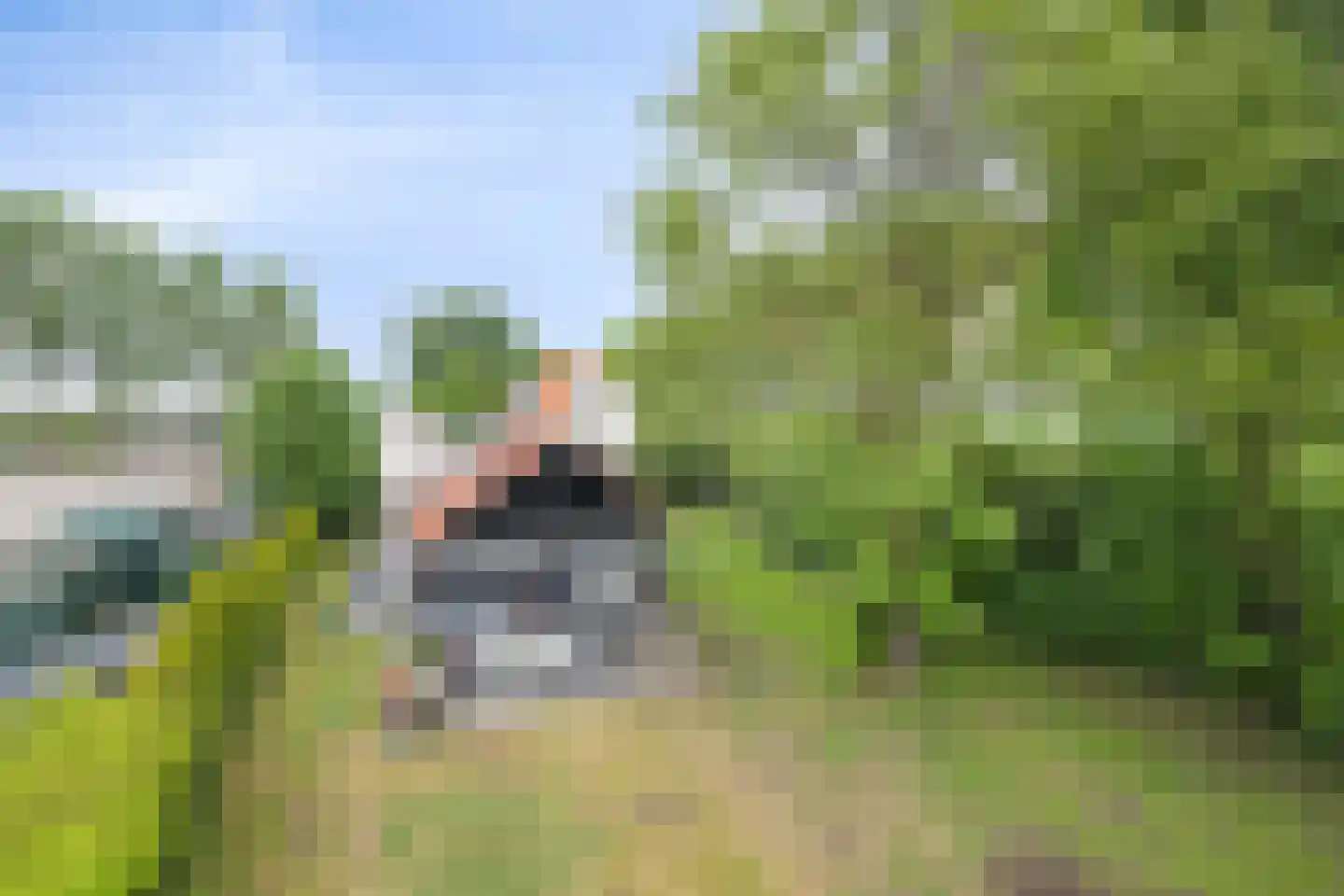 Bloemendijk 4 Dinteloord thumbnail 63