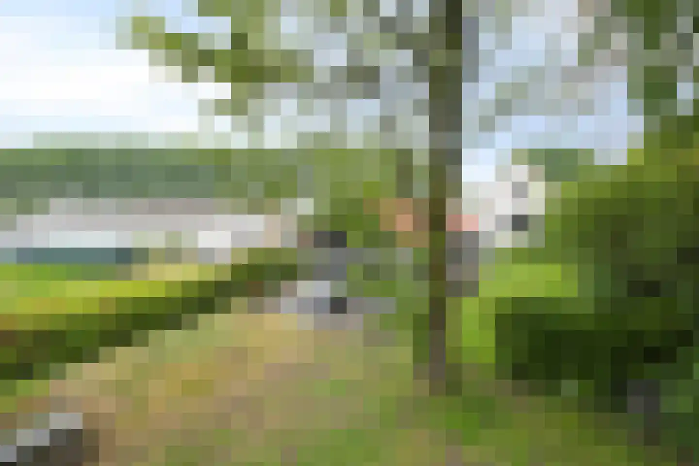Bloemendijk 4 Dinteloord thumbnail 64