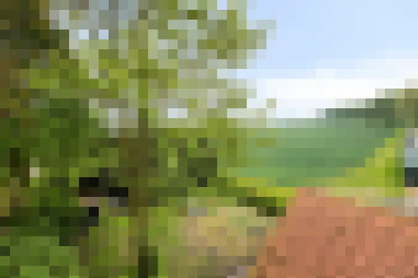 Bloemendijk 4 Dinteloord thumbnail 65