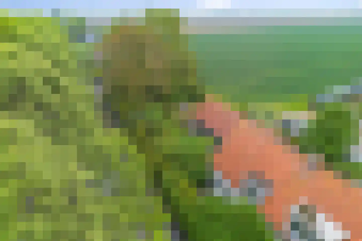 Bloemendijk 4 Dinteloord thumbnail 65