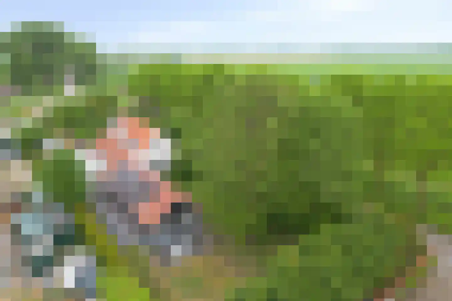 Bloemendijk 4 Dinteloord thumbnail 66