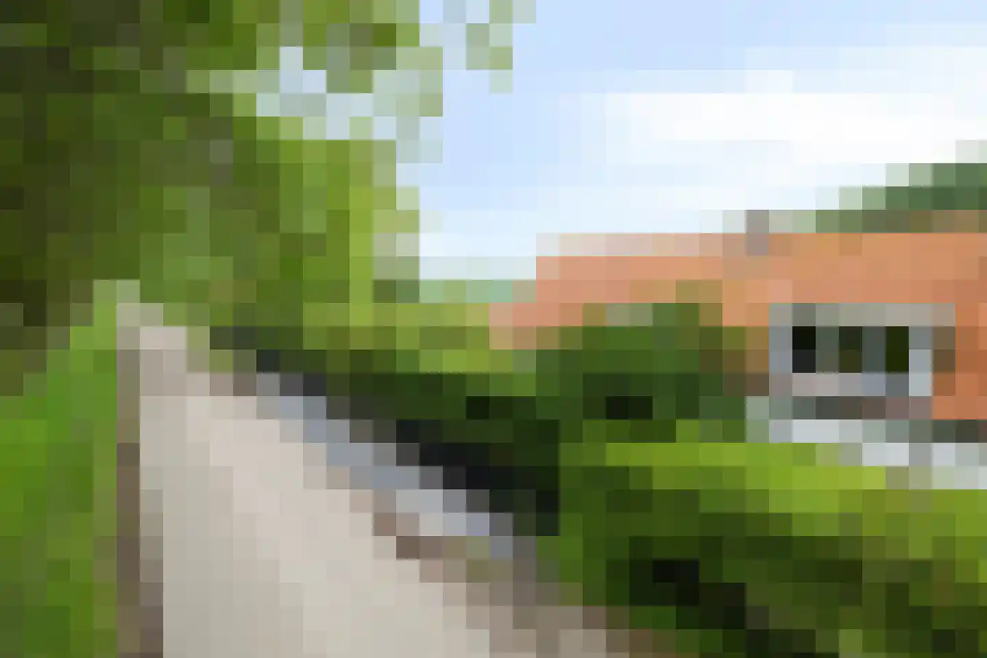 Bloemendijk 4 Dinteloord thumbnail 67