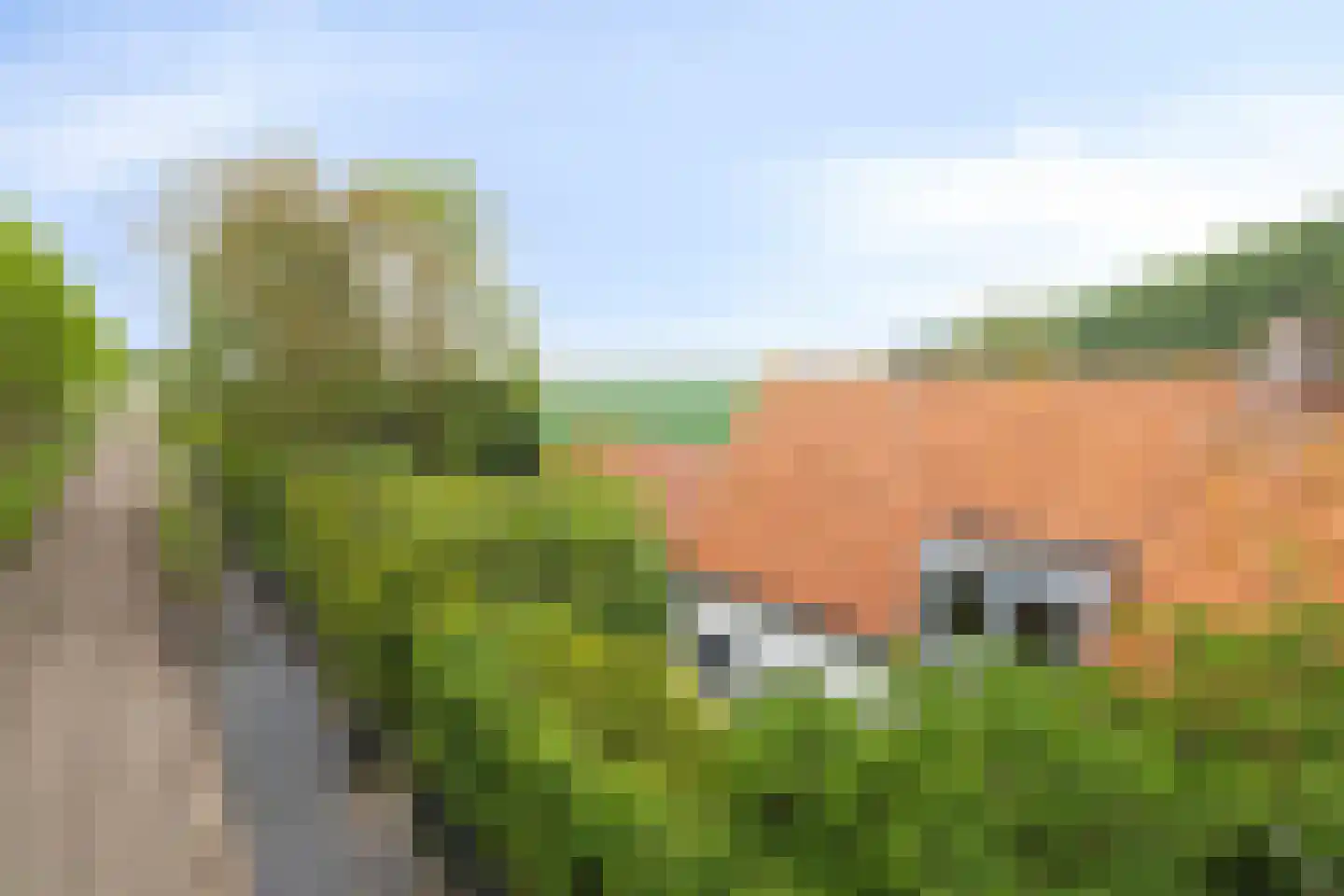 Bloemendijk 4 Dinteloord thumbnail 68