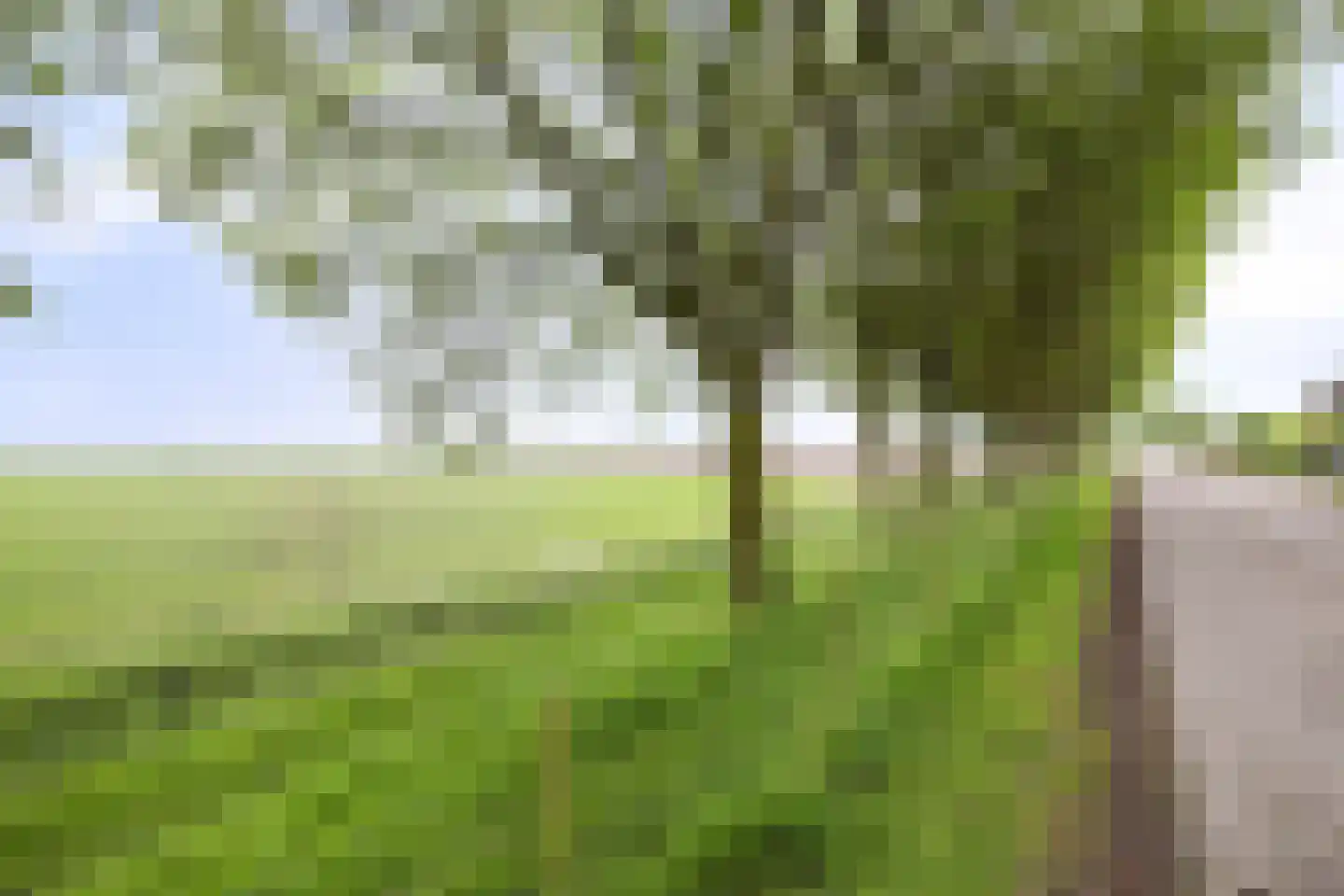 Bloemendijk 4 Dinteloord thumbnail 69