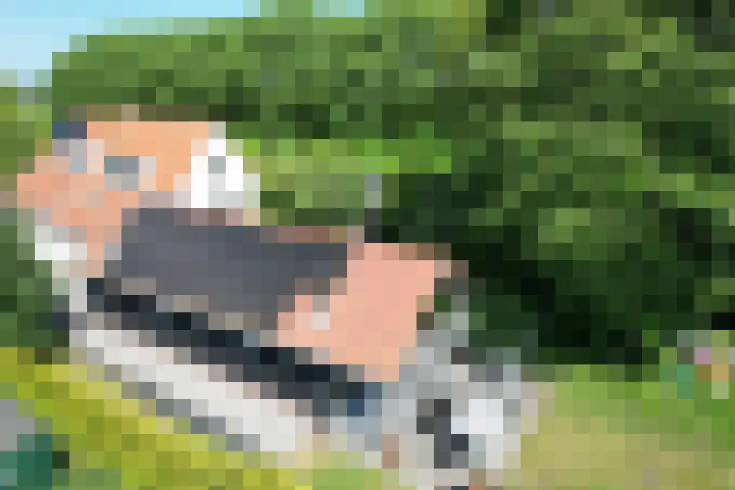 Bloemendijk 4 Dinteloord thumbnail 71