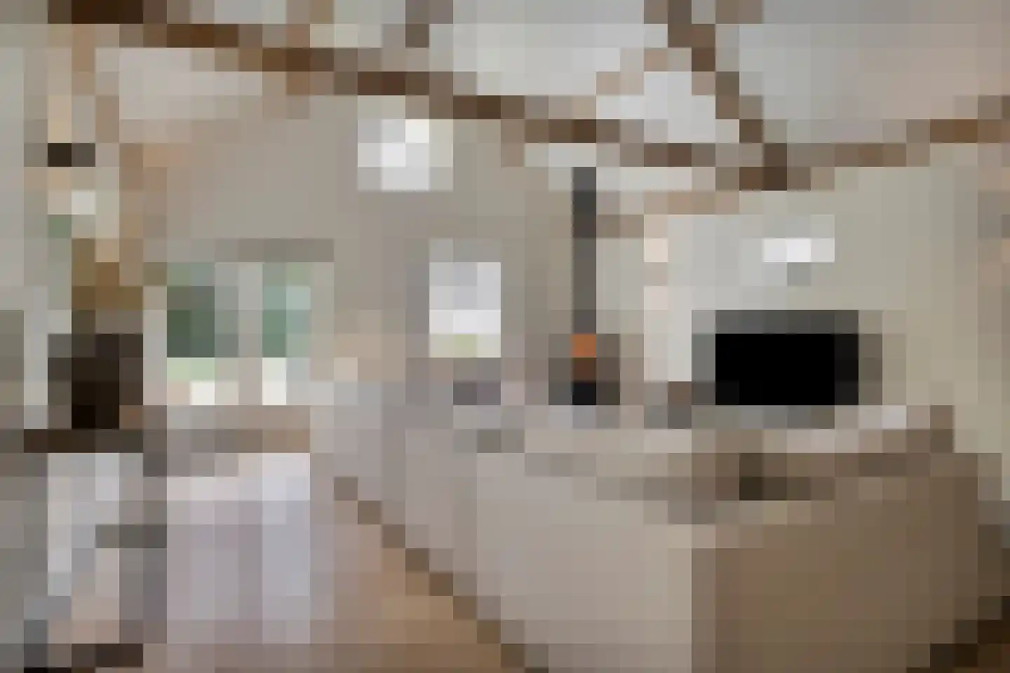 Bloemendijk 4 Dinteloord thumbnail 9