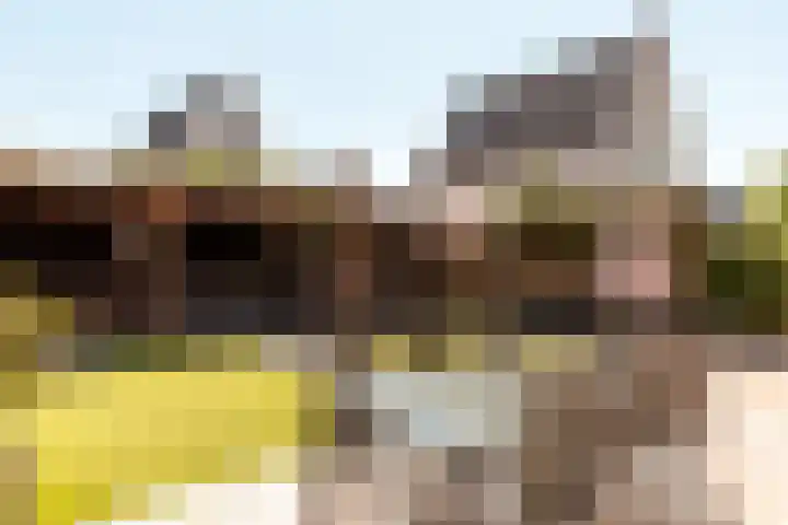 Bloemendreef 2 Harderwijk thumbnail 32