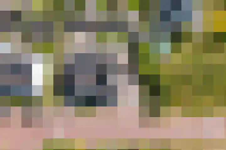 Bloemendreef 2 Harderwijk thumbnail 41