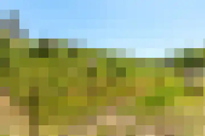 Bloemendreef 2 Harderwijk thumbnail 43