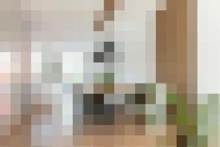 Bloemendreef 2 Harderwijk thumbnail 7