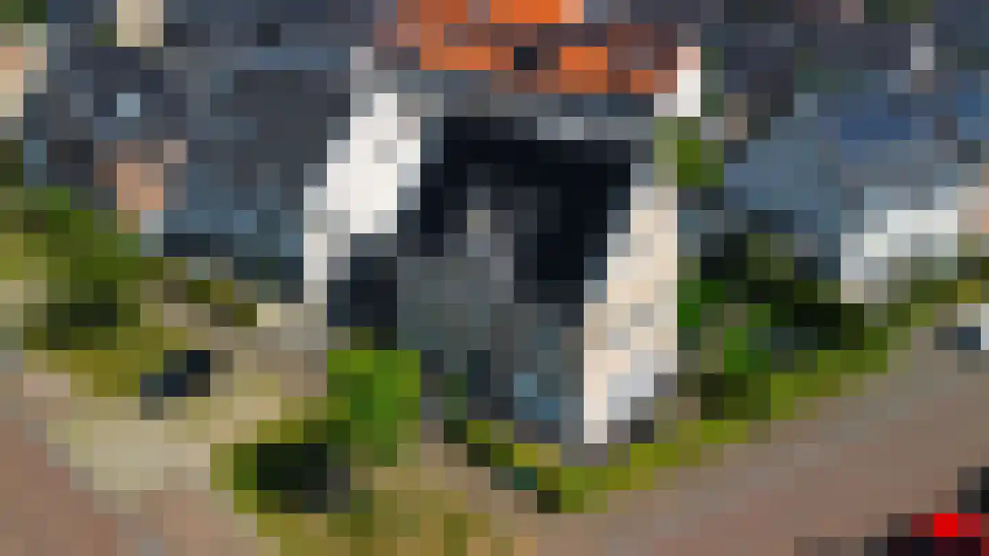 Bloemendreef 24 Harderwijk thumbnail 41