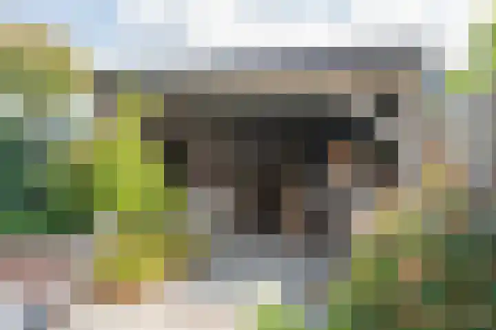 Bloemendreef 44 Harderwijk thumbnail 44