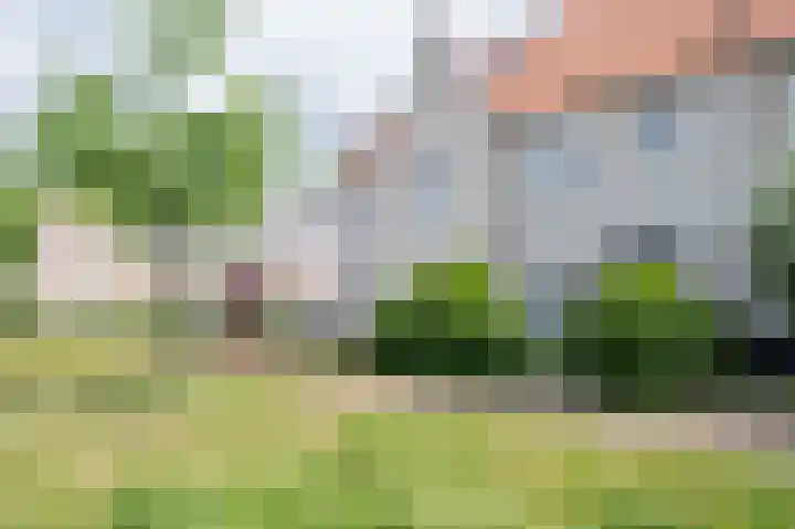 Bloemendreef 44 Harderwijk thumbnail 52