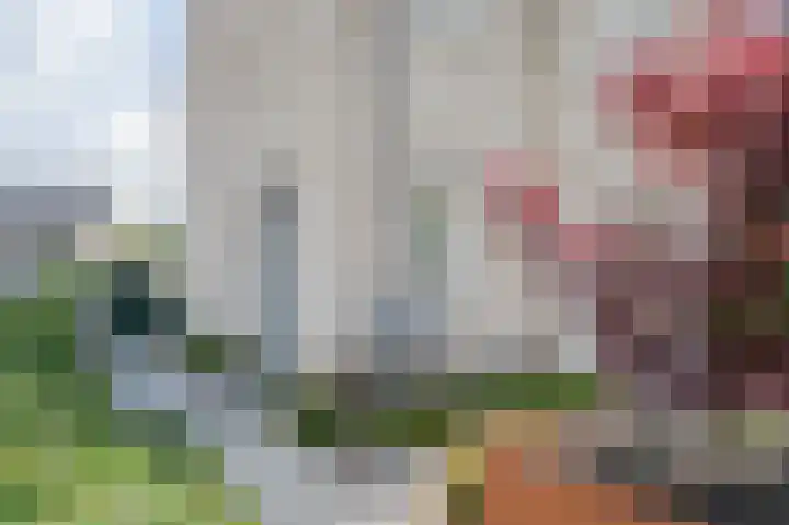 Bloemendreef 44 Harderwijk thumbnail 53