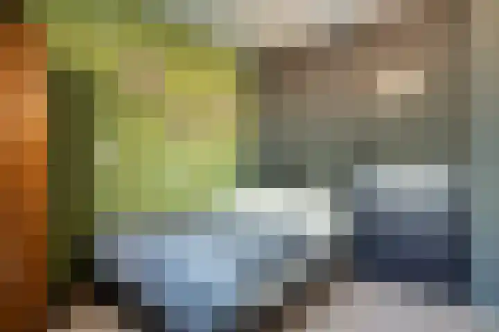 Bloemengaard 23 Doorn thumbnail 20